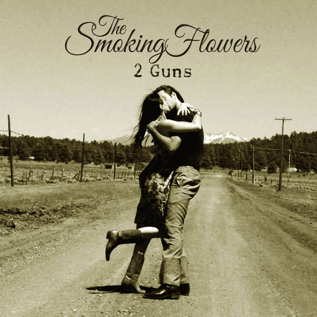 2 Guns cover art
