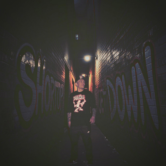 The Get Down cover art