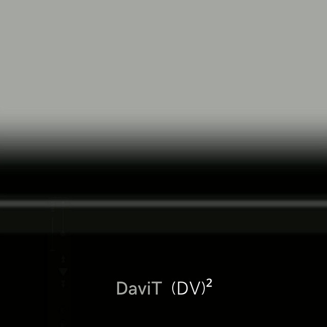 (DV)2 cover art