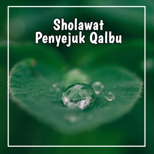 Sholawat Penyejuk Qalbu cover