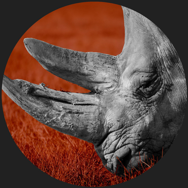 eXtinction cover art