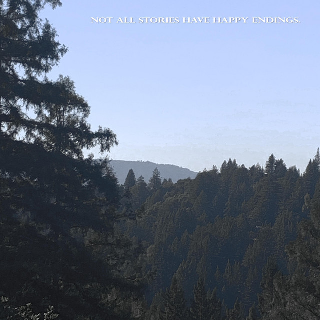Not All Stories Have Happy Endings cover art