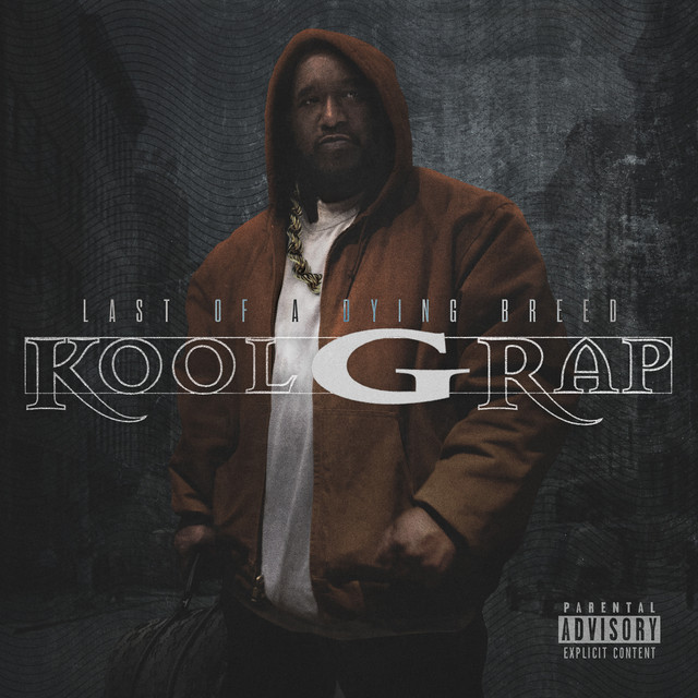 BOLA MAC/WHY WAS I BORN〜/G-RAP Born Hustler - song and lyrics by Kool G Rap, 38 Spesh, AZ