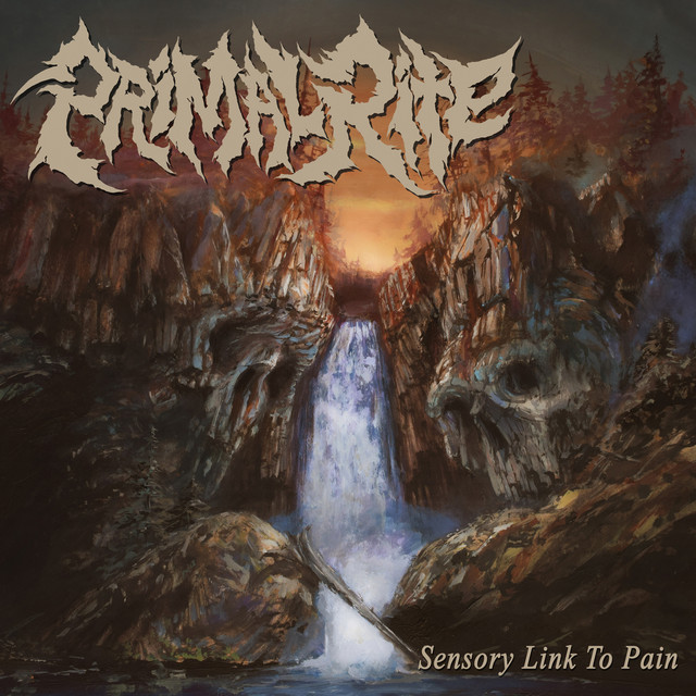 Sensory Link to Pain cover art