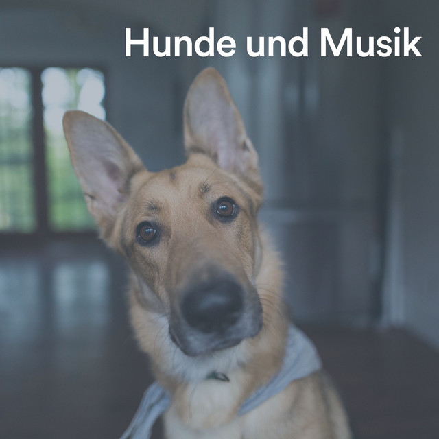 Hunde und Musik cover art