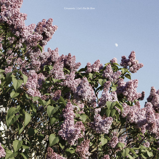 Let's Not Be Here cover art