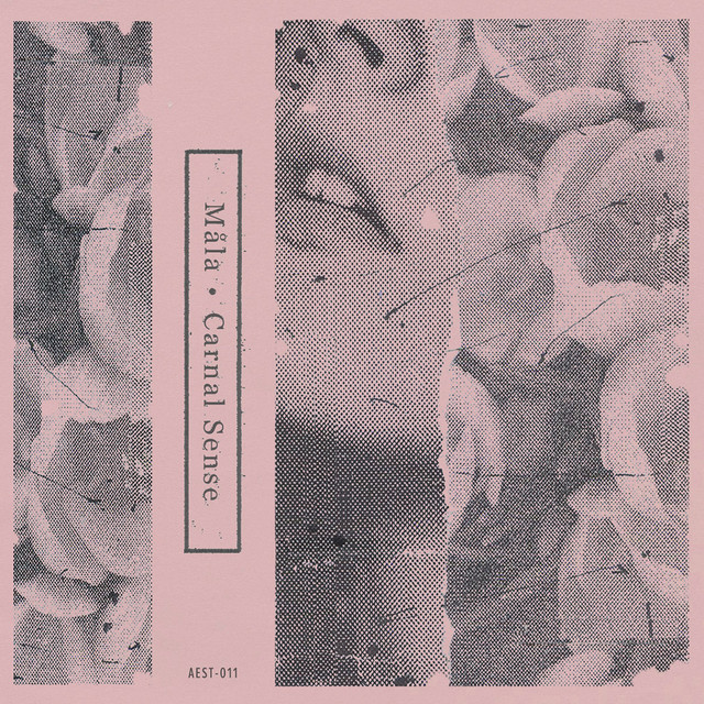 Carnal Sense cover art