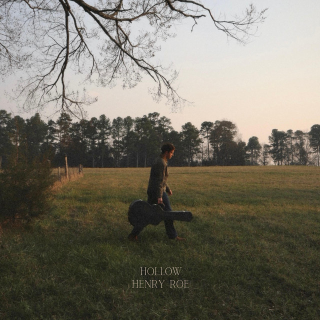 Hollow cover art