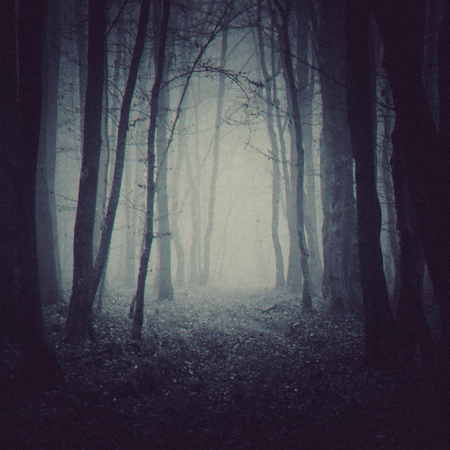 Twilight Seance album image