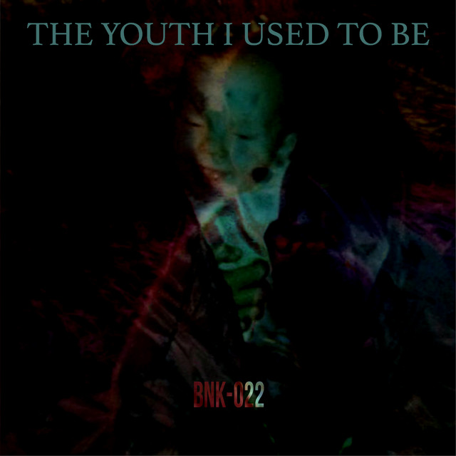 The Youth I Used To Be cover