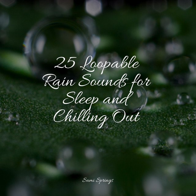 25 Loopable Rain & Nature Sounds - Album by Chillout Lounge | Spotify