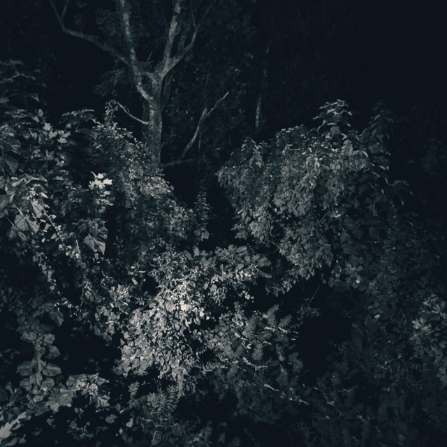 The Dark cover art