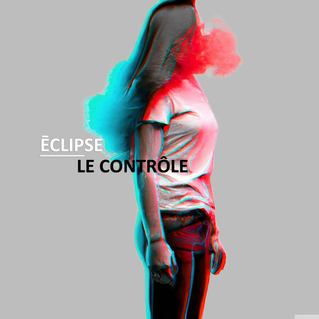 Le Contrôle cover art