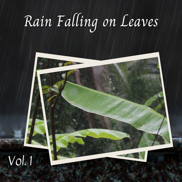 Rain Falling on Leaves Vol. 1 cover art