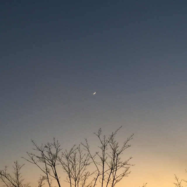 moondance cover art