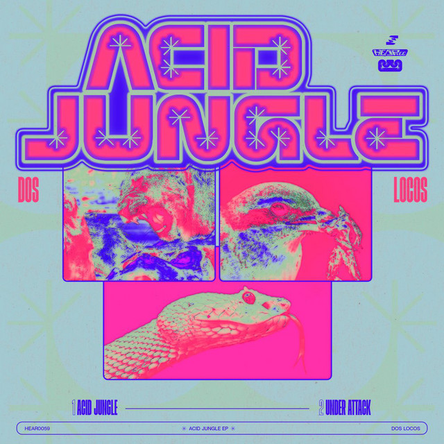 Acid Jungle album art