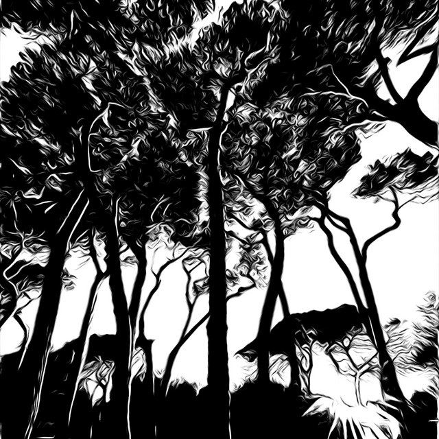 Gardens of Eden cover art