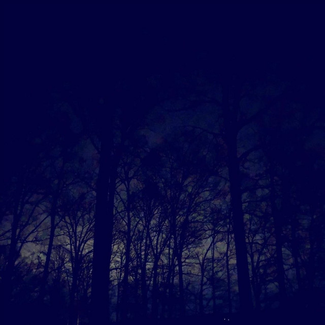 The Owls Are Not What They Seem (single)