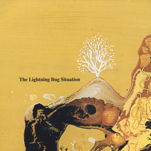 The Lightning Bug Situation Photo