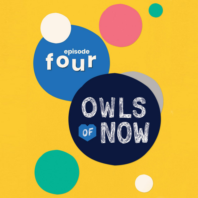 Owls of Now Photo