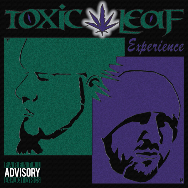 Experience cover art