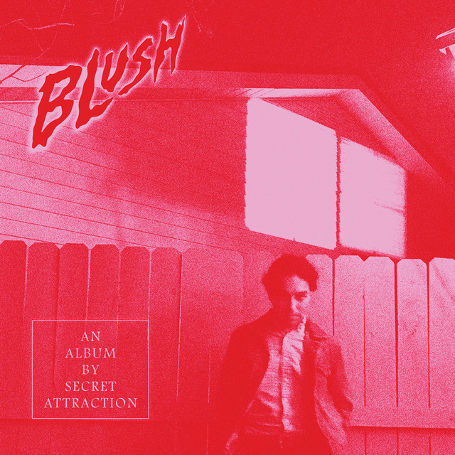 Blush cover art