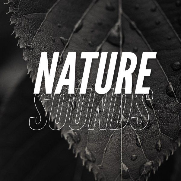 Nature Sounds cover art