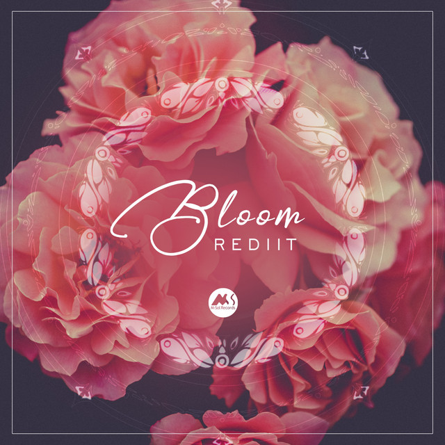 Bloom cover art