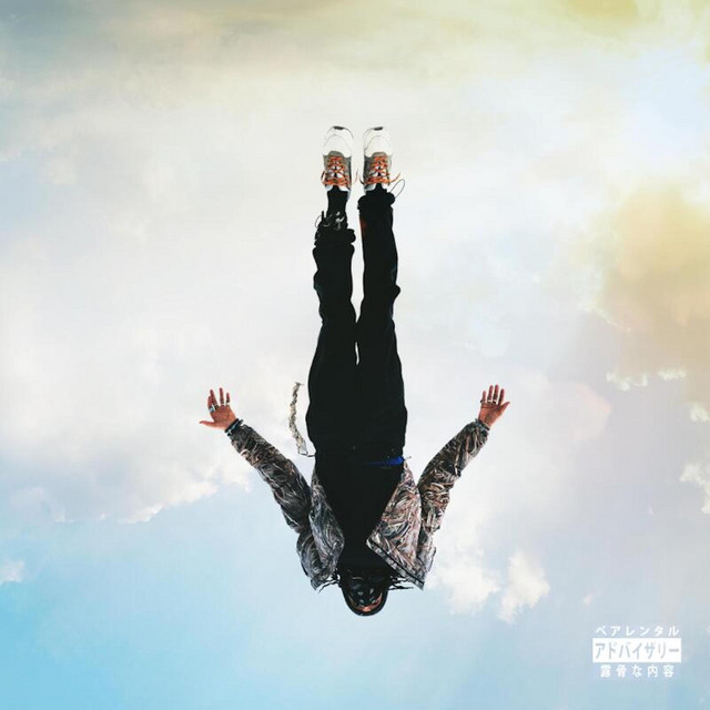 Chains cover art
