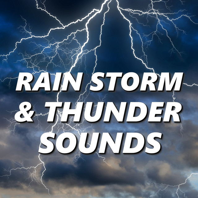 Rain Storm & Thunder Sounds cover art