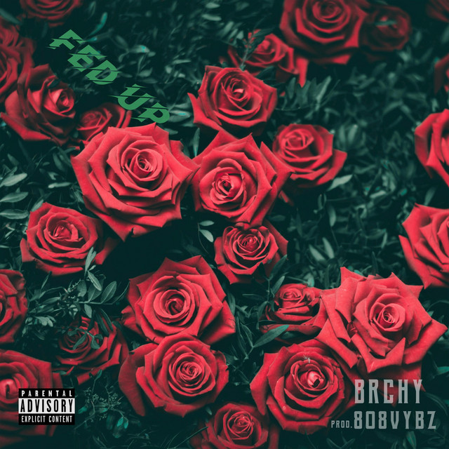Fed Up cover art