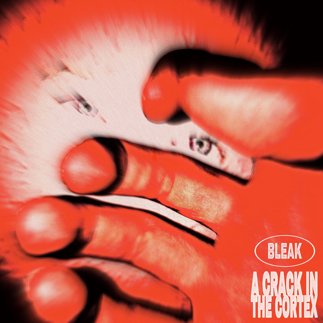A Crack in the Cortex cover art