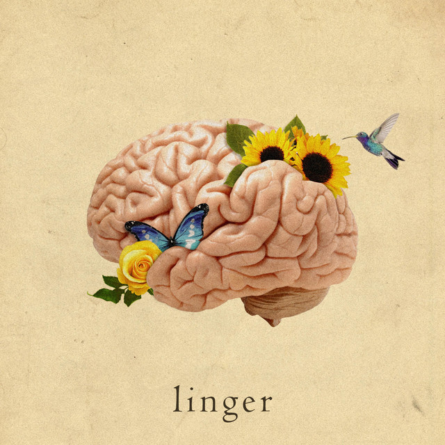 Linger cover art