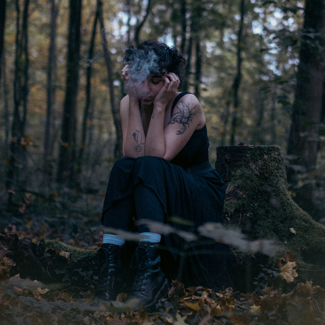 Winter cover art