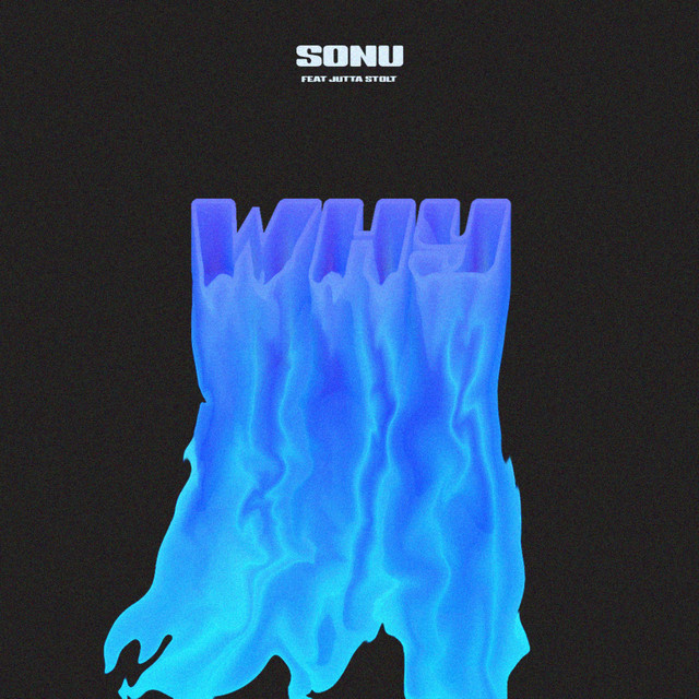 WHY cover art