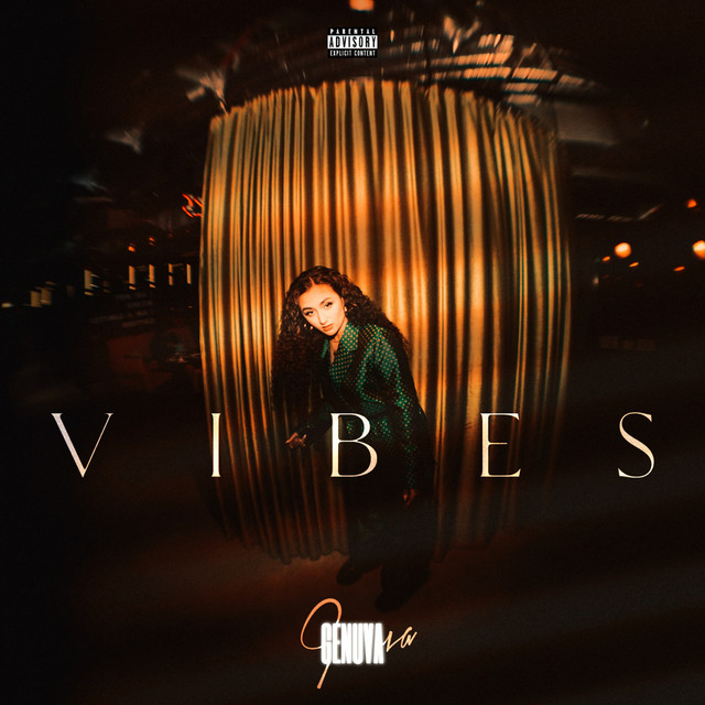 Vibes cover