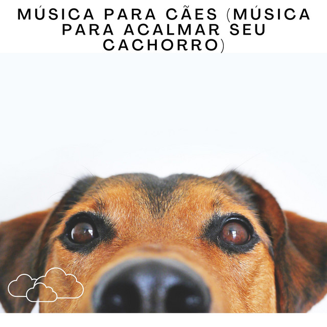 Música Para Cães (Música Para Acalmar Seu Cachorro) cover art