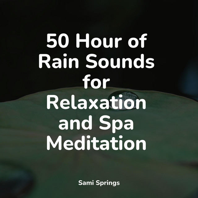 50 Hour of Rain Sounds for Relaxation and Spa Meditation - Album by ...