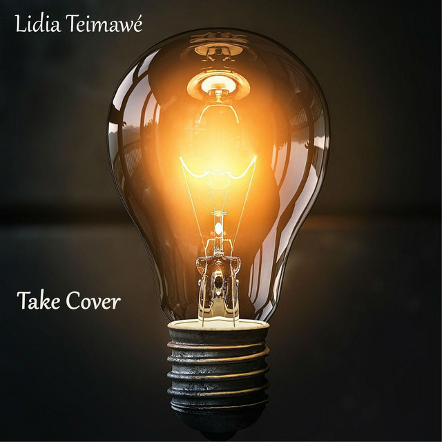 Take Cover cover art