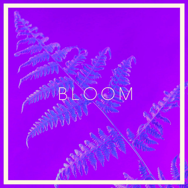 Bloom