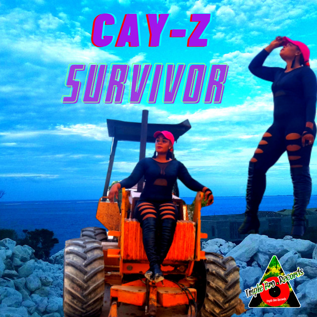 Survivor - Single by Cay-Z | Spotify