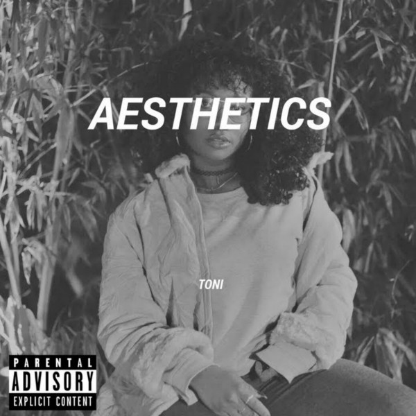 AESTHETICS cover art