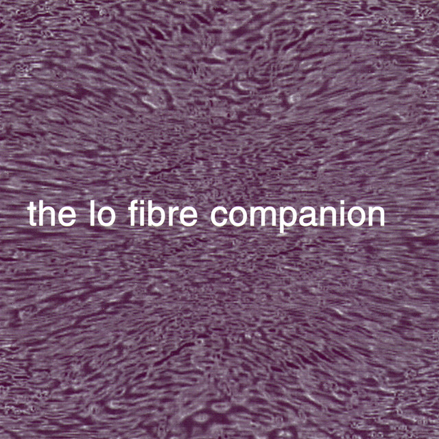 The Lo Fibre Companion cover