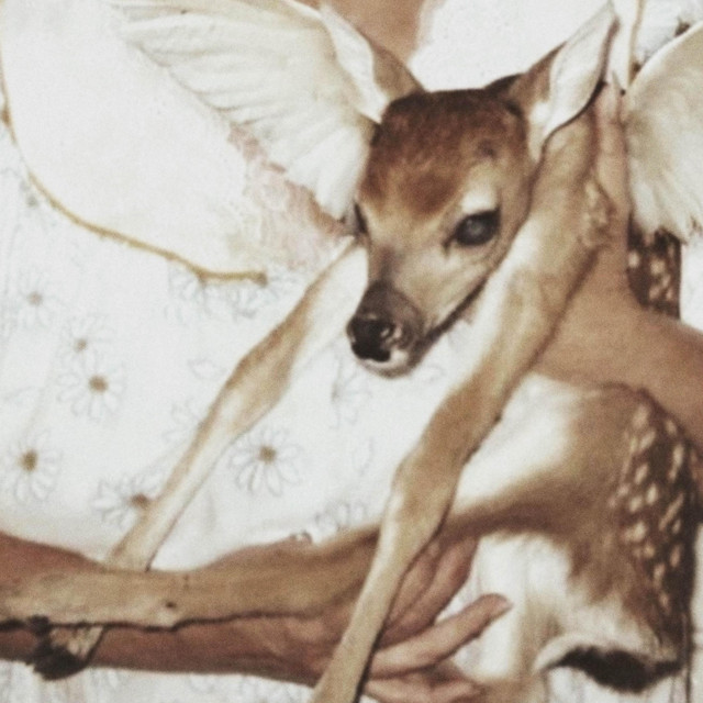 Evergreen cover art