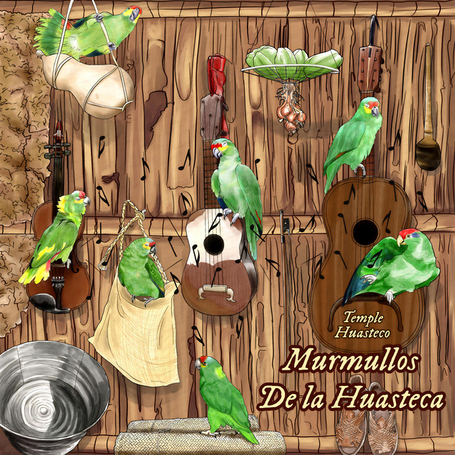 Murmullos de la Huasteca cover art