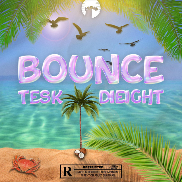 Bounce cover art