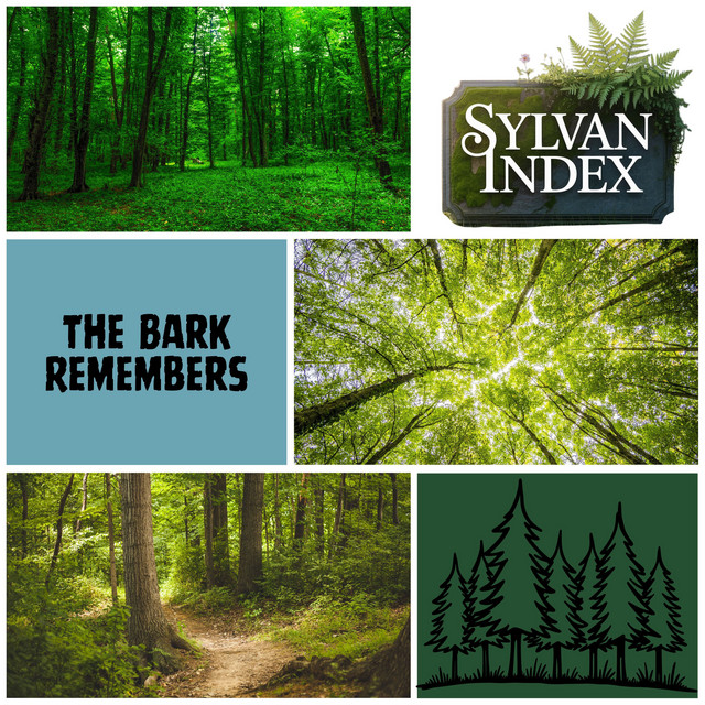 The Bark Remembers
