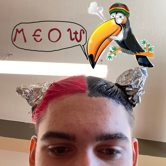 Toucan cover art