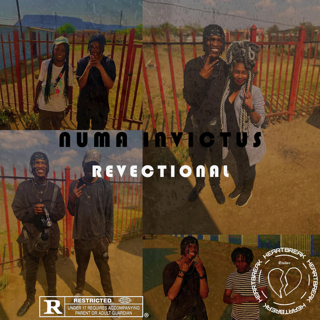 Revectional cover art