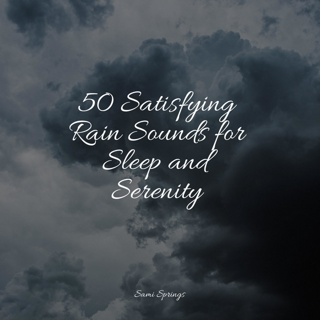50 Satisfying Rain Sounds for Sleep and Serenity - Album by Winds and ...